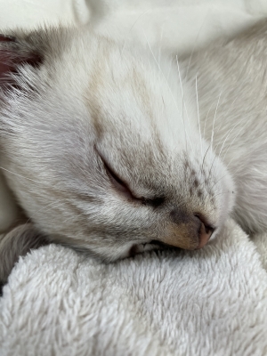 KEISUKE(ｹｲｽｹ) ゆっくり落ち着ける時間