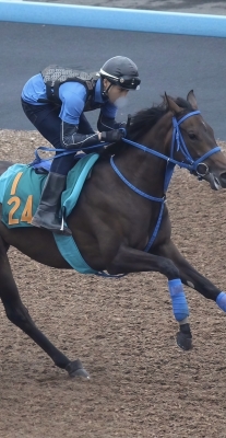 RAIMU(ﾗｲﾑ) らいむの過去