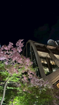 KAREN(ｶﾚﾝ) 🌸3月を終えて4月へ🌸