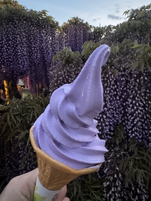 TAKAYA（ﾀｶﾔ） 『今』を大切に