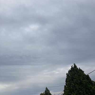 MIRAI(ミライ) 今日は◯◯