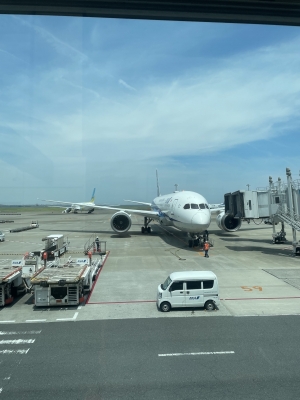 RYUHEI(ﾘｭｳﾍｲ) 帰ってきました