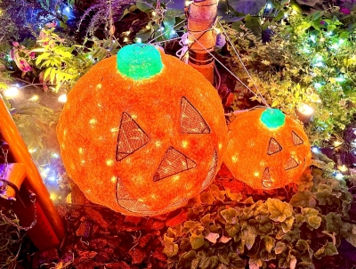 SHINA(ｼﾅ) 先取りハロウィン！！！