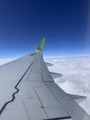 YUZU(ﾕｽﾞ) 沖縄✈️