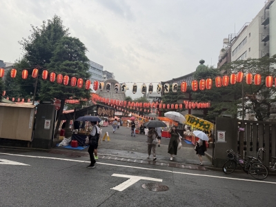 ASUMA (ｱｽﾏ) 🏮