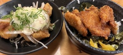 HIKARU(ﾋｶﾙ) 🌓友達とトリキ