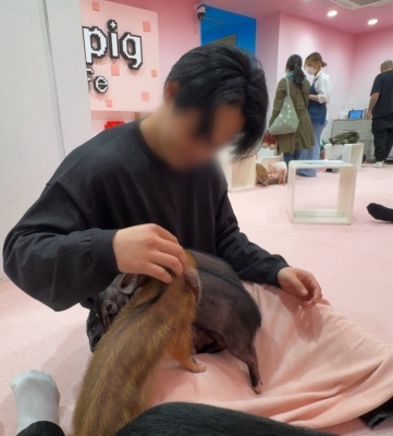 TOU(トウ) 🐽さんと🫶