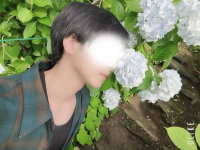 NOEL(ﾉｴﾙ) 白の紫陽花咲いてました💐