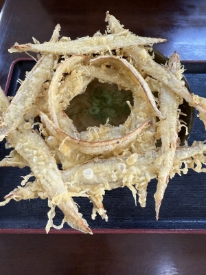 SOU（ｿｳ） ベストうどんを探す旅