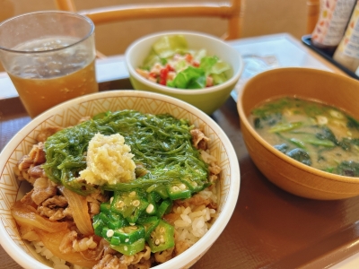MISAKI(ﾐｻｷ) すき家は健康食