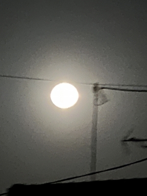 KEITO(ｹｲﾄ) 満月✨