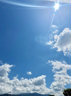 NAGASE(ﾅｶﾞｾ) 🤧