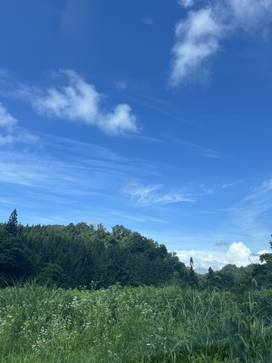 NOEL(ﾉｴﾙ) 7月もあと残り僅か...🏖️