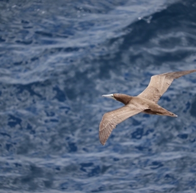 ITSUKI(ｲﾂｷ) 伸び伸びと…