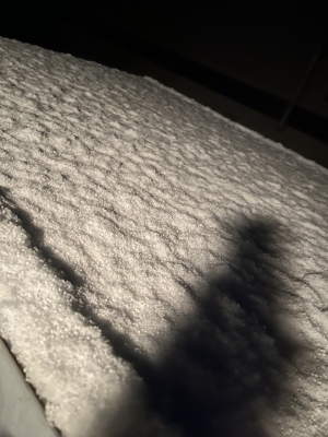 SAITO(ｻｲﾄ) 雪