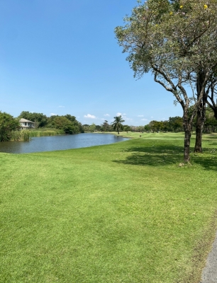 KANKI(ｶﾝｷ) タイゴルフ