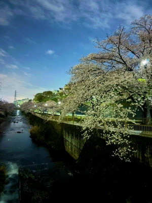 MIFUYU(ﾐﾌﾕ) ギリギリセーフ！！