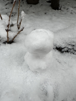 KAGA(ｶｶﾞ) キャス