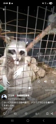 GOUKI(ゴウキ) ここでは動画upできないんだね😭Xで動画あり