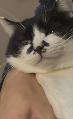 GENTO(ゲント) 帰省