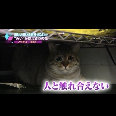 KATSUMI(カツミ) ご予約ない日