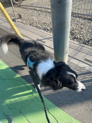 ATSUMU（ｱﾂﾑ） 固定観念の話