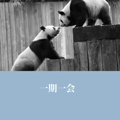 AOBA(アオバ) 一期一会