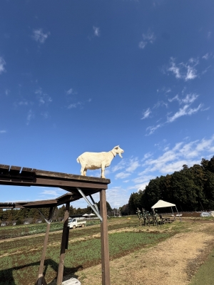 MOCHI(モチ) 有頂天です。