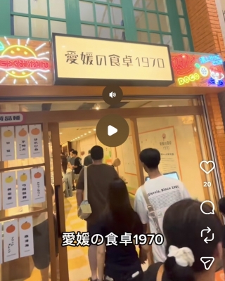 HIRO（ヒロ） 愛媛の食卓1970🍊