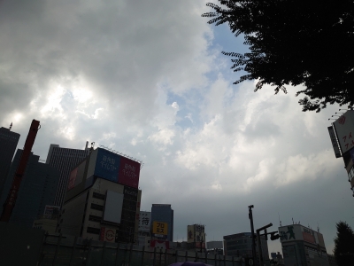 KOYOI(ｺﾖｲ) 新宿