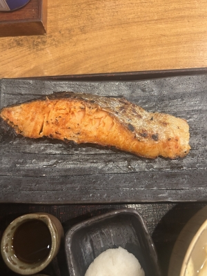 KONOSUKE(ｺｳﾉｽｹ) サーモン くーもん