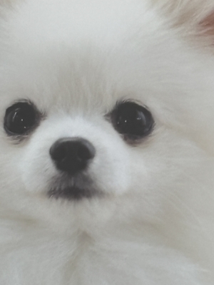 TOMOYA（ﾄﾓﾔ） ここはどこでしょう