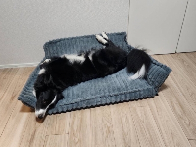 ATSUMU(アツム) 首、心配!