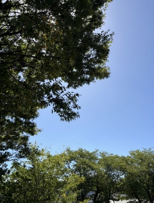 KIYOTAKA(ｷﾖﾀｶ) 初めての写メ日記