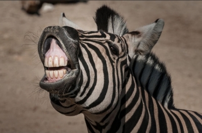 SEIICHIRO(ｾｲｲﾁﾛｳ) 何もしてないけど新年です