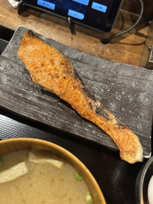 KONOSUKE(ｺｳﾉｽｹ) サーモンくーもん