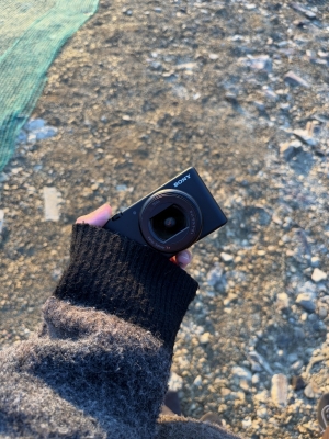 MASH(ﾏｯｼｭ) 旅の相棒！