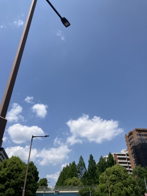 HIKARI(ﾋｶﾘ) 昨日に比べてだいぶ暑い💦