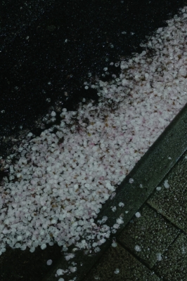 KANNA(ｶﾝﾅ) 問いかけ