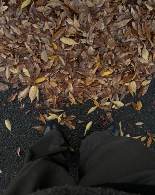 MASH(ﾏｯｼｭ) 秋🍂