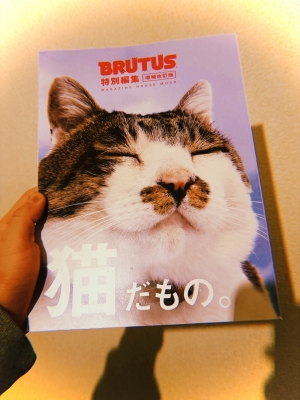 MOCHI（ﾓﾁ） 猫だもの。