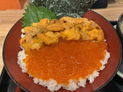 HANZO（ﾊﾝｿﾞｰ） 帰還