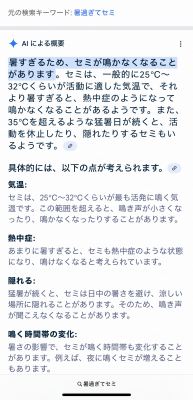 MIKITO(ﾐｷﾄ) 一緒に最高の夏にしよーな！