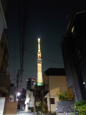 KOYOI(ｺﾖｲ) 今日のスカツリ