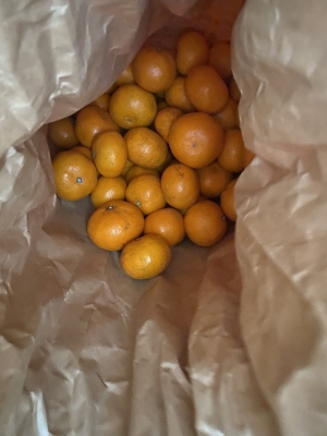 MISAKA(ﾐｻｶ) ビタミンチャージ