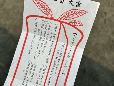 MATCHA（ﾏｯﾁｬ） 今日のおみくじ🔮