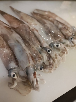 SUBARU(ｽﾊﾞﾙ) 本業では