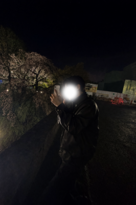 MINATO(ミナト) 夜桜