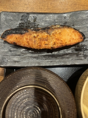 KONOSUKE(ｺｳﾉｽｹ) パクパクタンパク サーモンくーもん