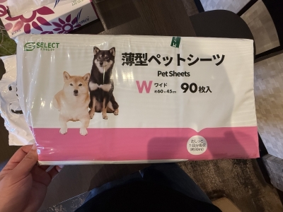 ARASHI(ｱﾗｼ) 【🐶】